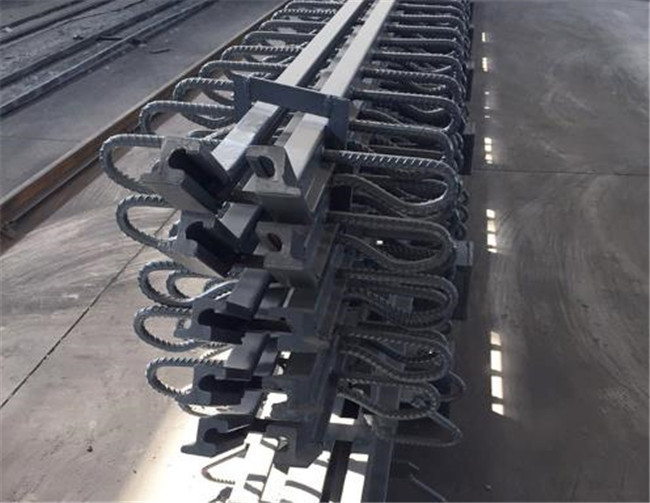 D60型桥梁伸缩缝.jpg
