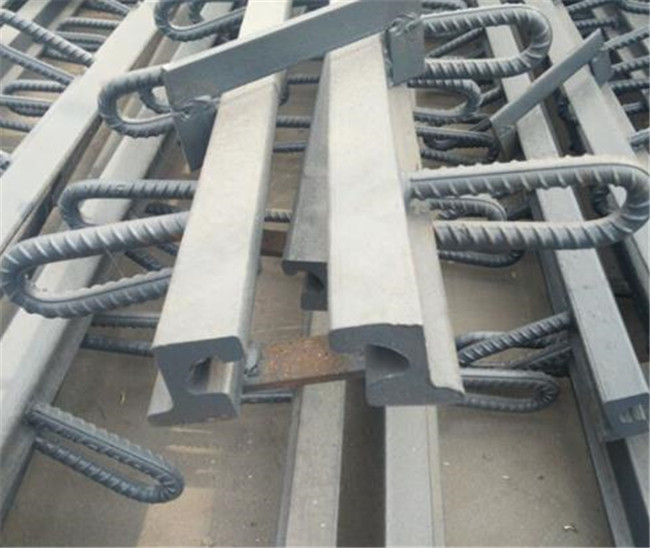 GQF-RG型桥梁伸缩缝.jpg